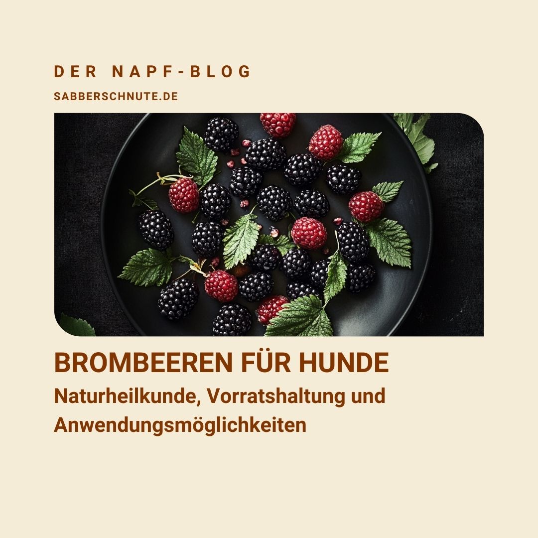 Ernährungsberatung Hund Hundefutter BARF