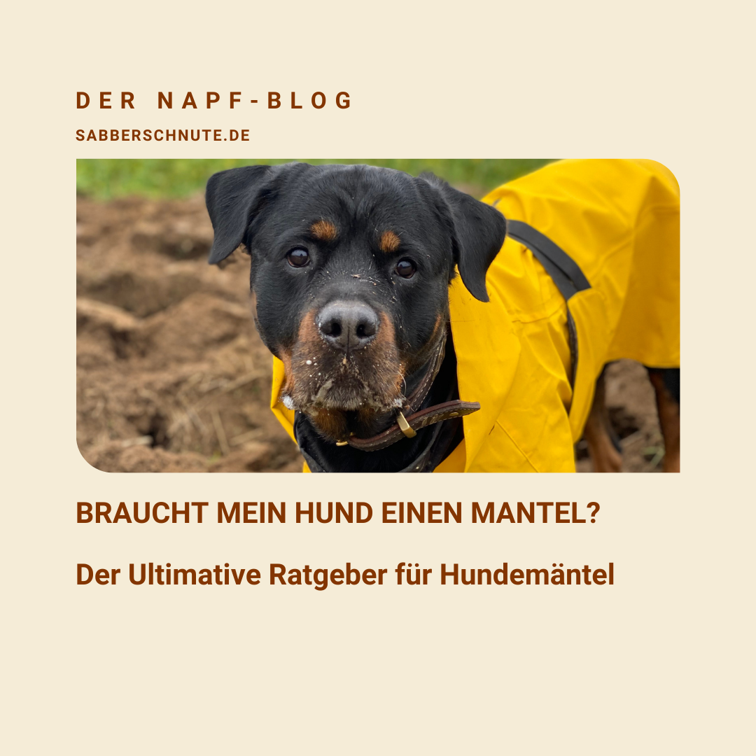 Braucht mein Hund einen Mantel? Der Ultimative Ratgeber für Hundemäntel, Wintermantel Hund, Regenmantel Hund, Hundejacke